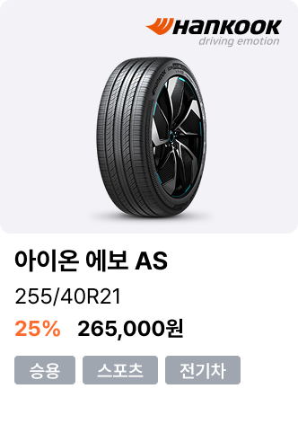 아이온 에보 AS